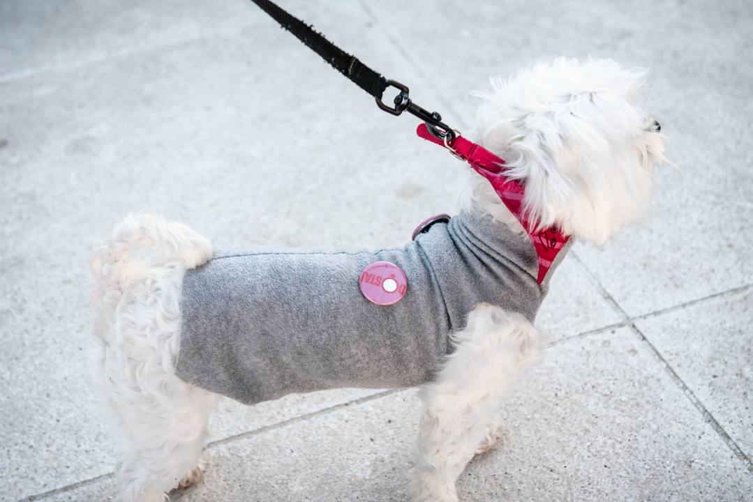 Prosvjed u znak potpore Mireli Čavajdi: 'Ovo nam je podsjetnik koliko sustav može biti okrutan prema ženama'  