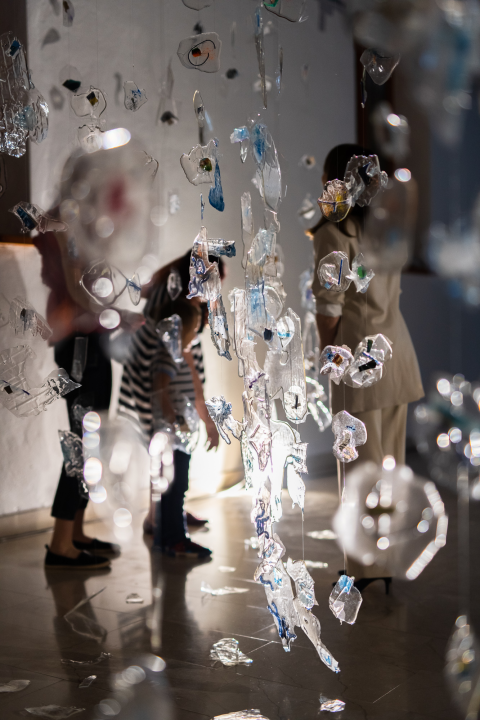 'Herbarij' Nikoline Šimunović u galeriji Kninskog muzeja: 'Sve me vodi k sebi'