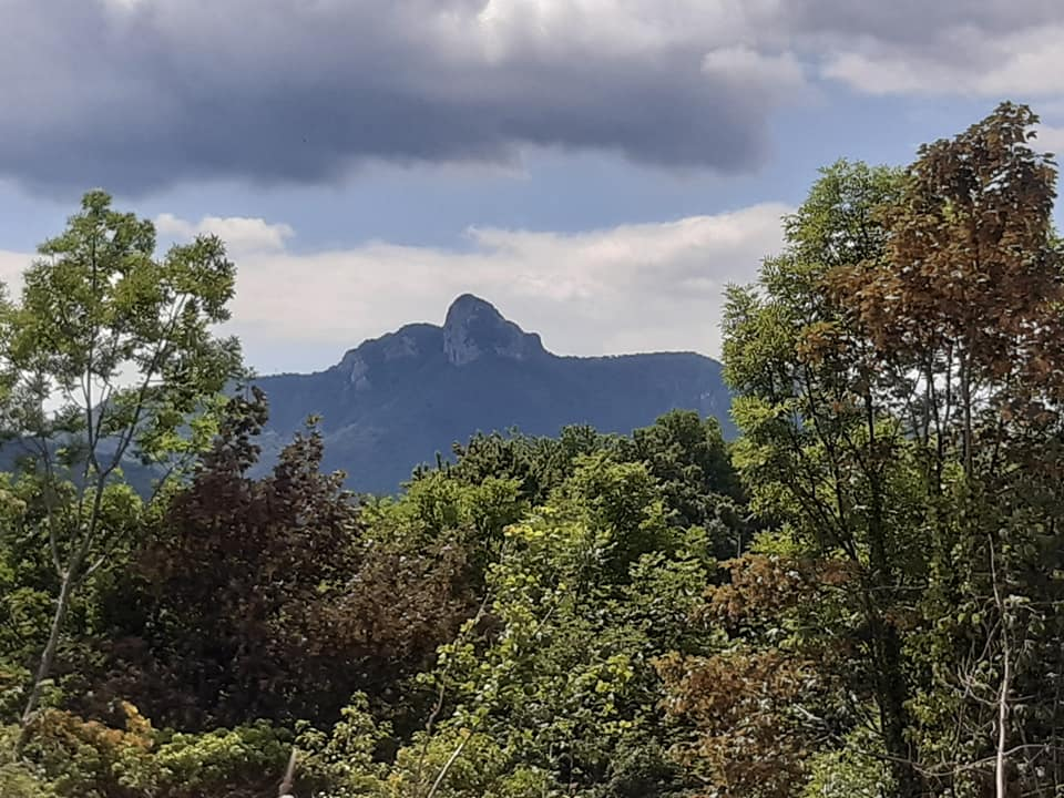 Na bajkovitom festivalu u Ogulinu sudjelovali i predstavnici iz naše županije