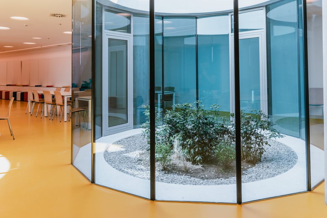 Znate li gdje se u Šibeniku nalazi ovaj zanimljivi arhitektonski detalj?