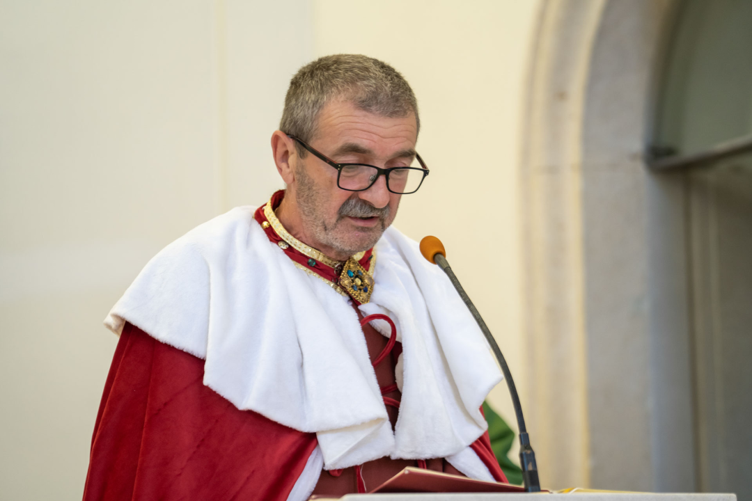 Svečani mimohod, radionice, mačevanje, vatreni show…: Završili ovogodišnji Zvonimirovi dani 