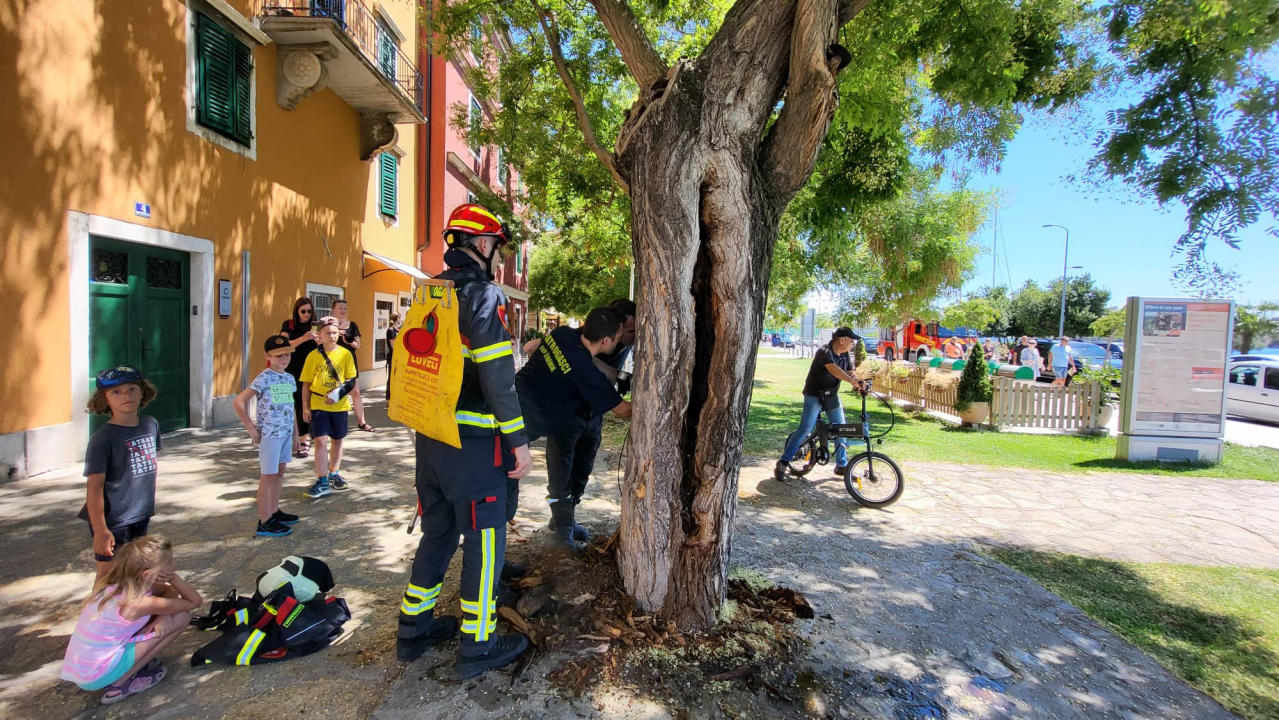 Zapalilo se stablo ispred Azimuta, svjedoci: 'Netko je bacio opušak'   