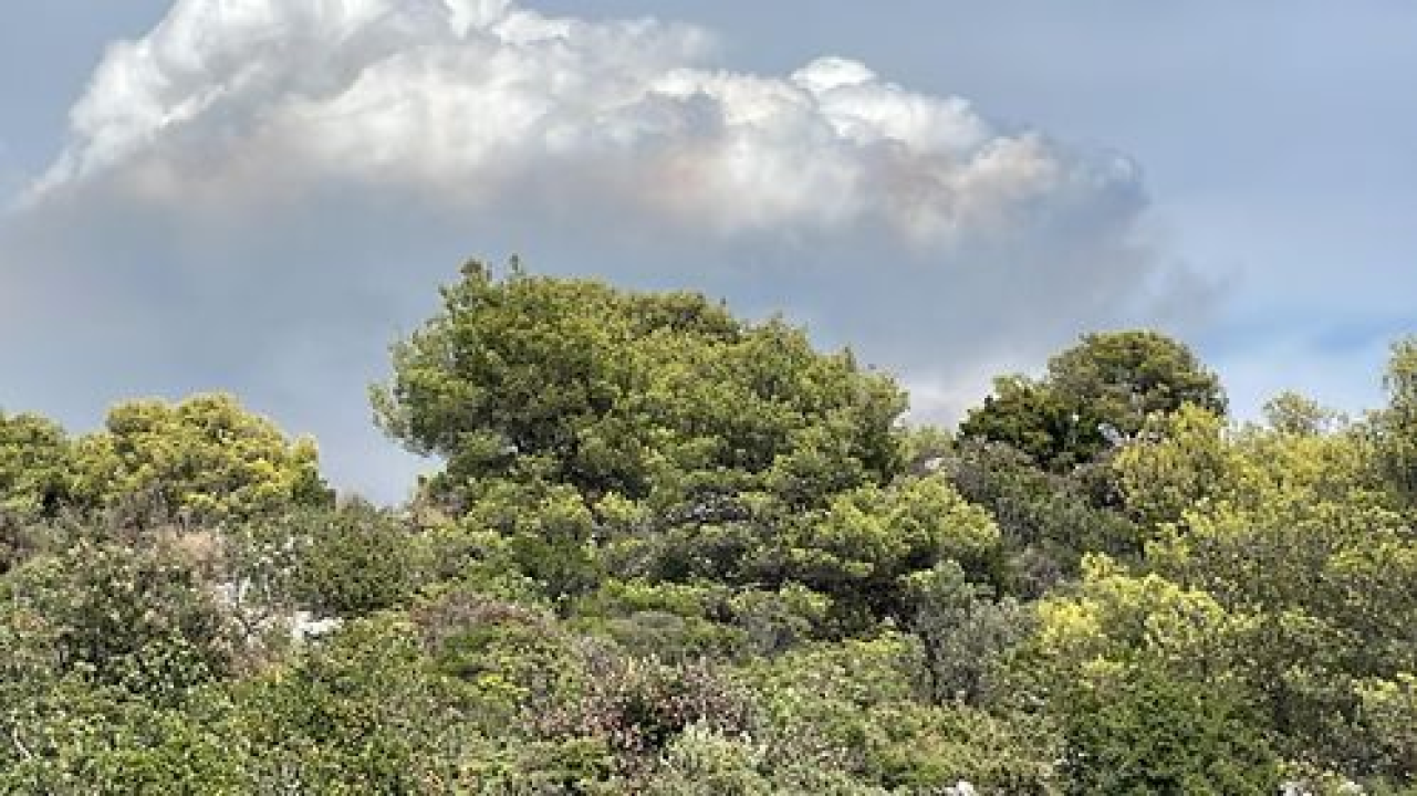 U tijeku sanacija požarišta u Vrpolju: Na terenu 60 vatrogasaca i 21 vozilo