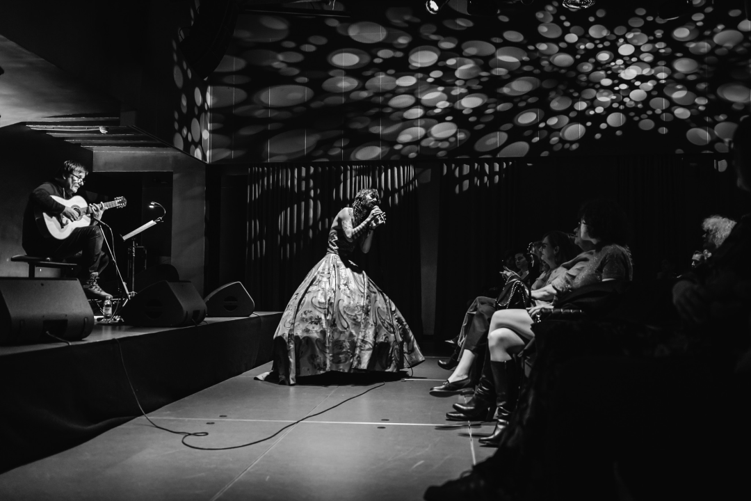 Vrećin glas, gitara i lutnja Edina Karamazova oduševili sinoć Šibenčane u Arsenu