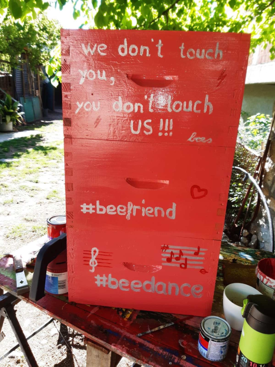 Doda Pčelarica je, s puno ljubavi i volje, napravila malo pčelinje carstvo: Ispričala nam je sve o pčelama, medu, propolisu, peludu… 