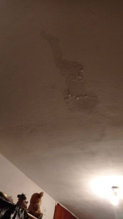 Stanari jedne zgrade u Šibeniku godinama žive u neljudskim uvjetima: Prokišnjava lift, gljivice na zidovima te krpe i kante posvuda 