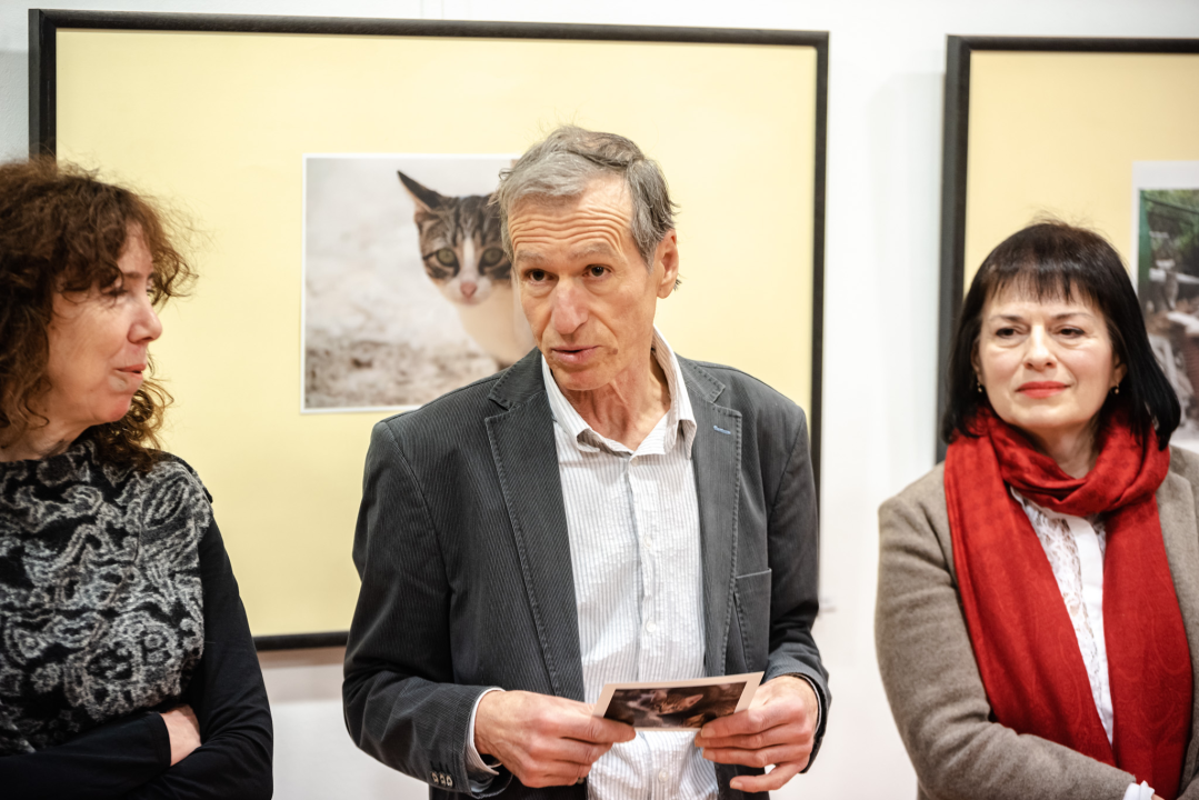 U knjižnici otvorena izložba koju ljubitelji mačaka ne smiju propustiti