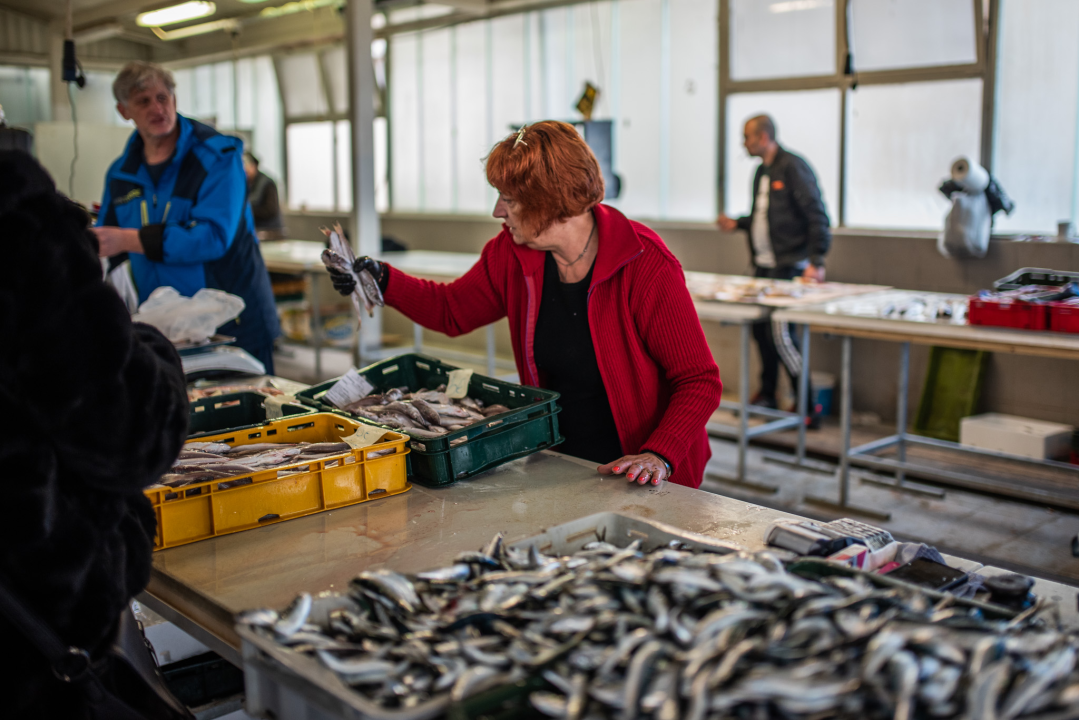 Jutros se na šibenskoj pijaci jasno vidjelo da je petak: Peškarija puna, na zelenom dijelu pustoš 