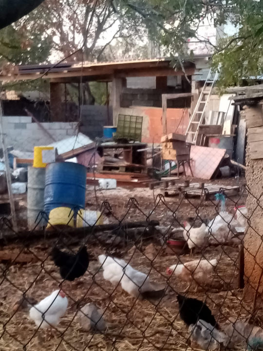 Vlasnici apartmana u Brkićima o ovcama: 'On tu ni ne živi, a svugdje ostavlja smeće. Protiv stočarstva nemamo ništa' 