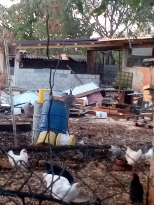 Vlasnici apartmana u Brkićima o ovcama: 'On tu ni ne živi, a svugdje ostavlja smeće. Protiv stočarstva nemamo ništa' 