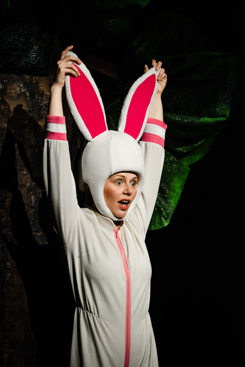 Šibensko kazalište ima novu predstavu za djecu: 'Ovo je nastavak avantura zeke i vjeverice'