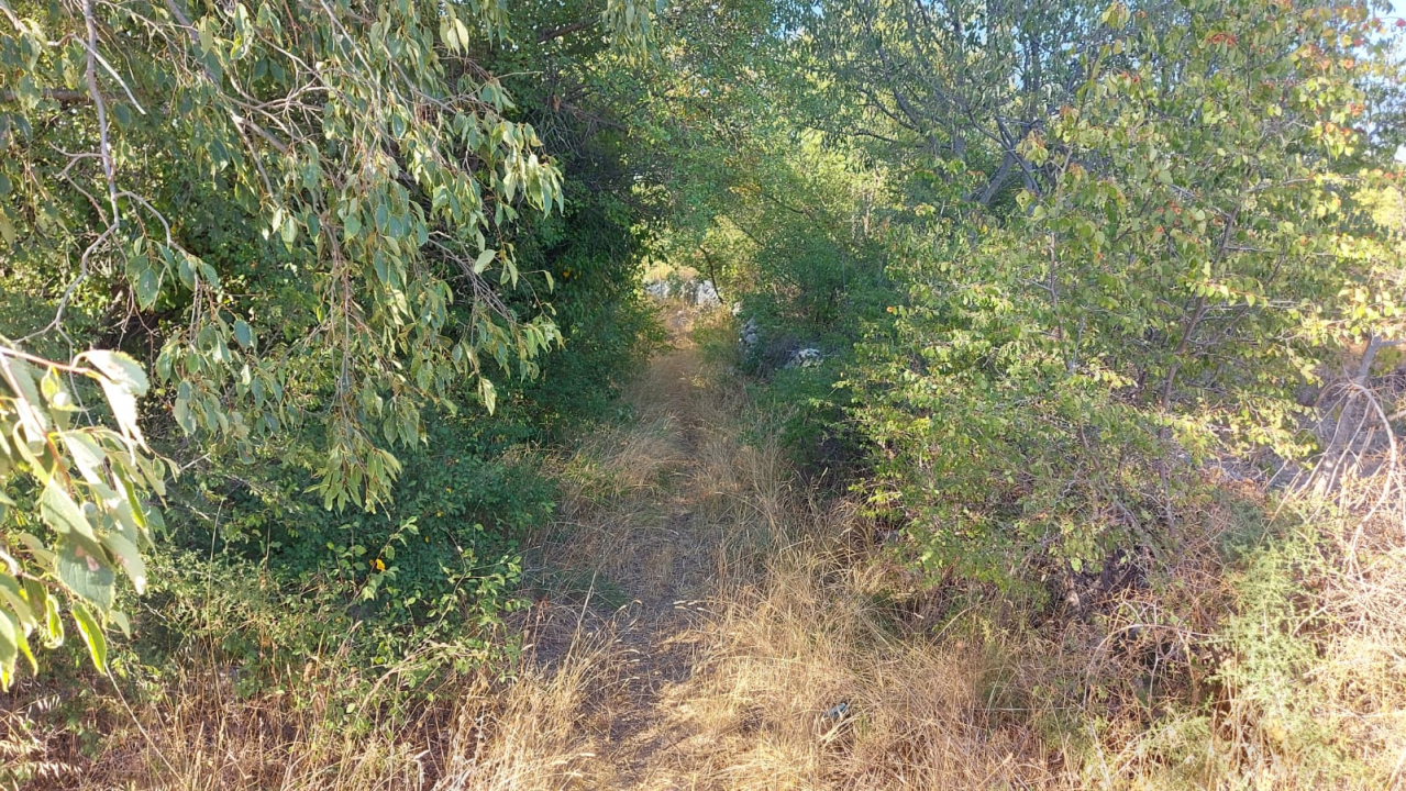 Lovci LD Krka obnovili lokvu u neposrednoj blizini granice s parkom u Lozovcu