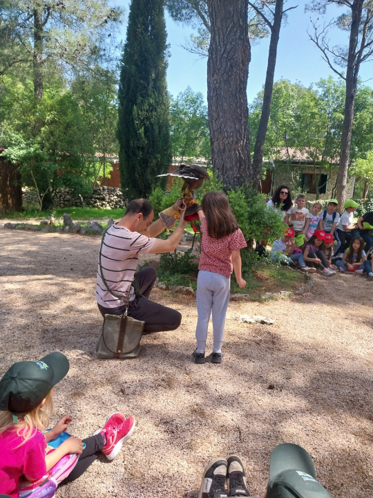 Djeca iz DV Tamaris posjetili Sokolarski centar u Dubravi  