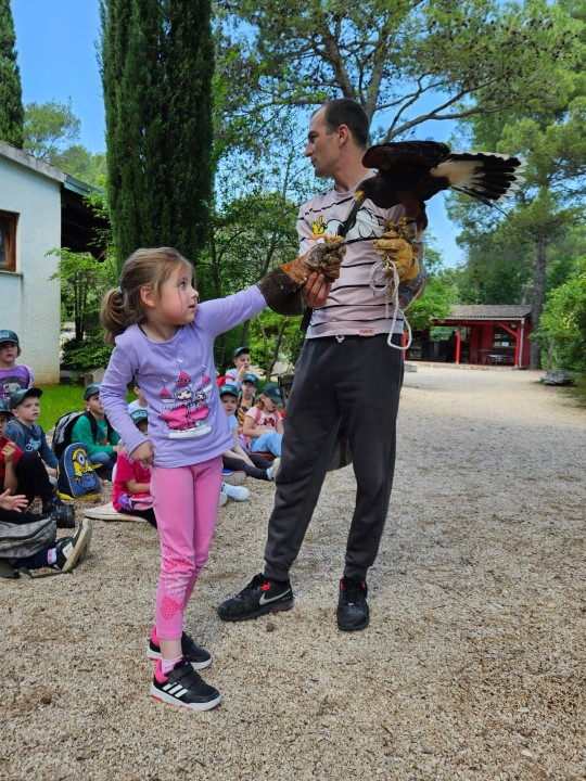 Djeca iz DV Tamaris posjetili Sokolarski centar u Dubravi  
