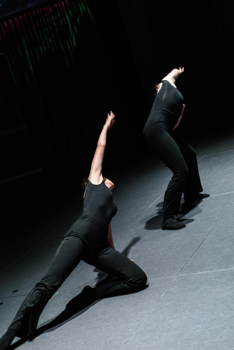 Čuveni Kibbutz Contemporary Dance Company stiže na tvrđavu svetog Mihovila