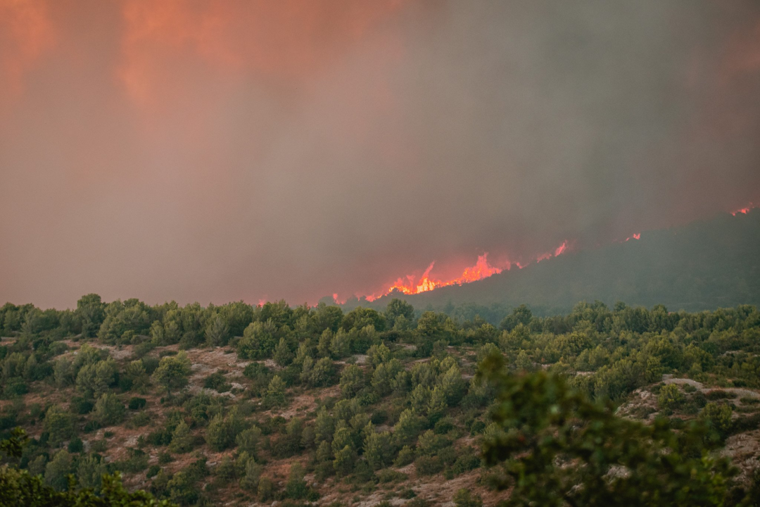 Godišnjica strašnog požara u Zatonu i Raslini: ‘Sjećam se bijele pjene koja lebdi zrakom ispunjenim dimom. Vrijeme je stalo’ 