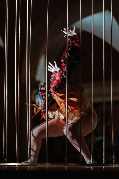 Šibenčani ovacijama pozdravili dolazak suvremenog plesa u njihov grad