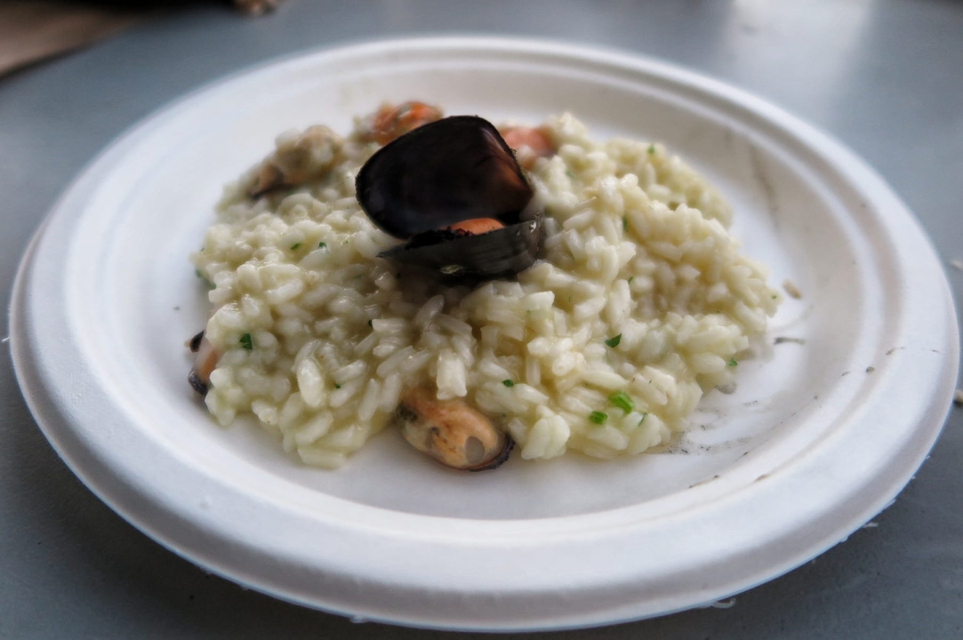 Pogledajte kako je bilo na tradicionalnoj Zatonskoj pidočijadi