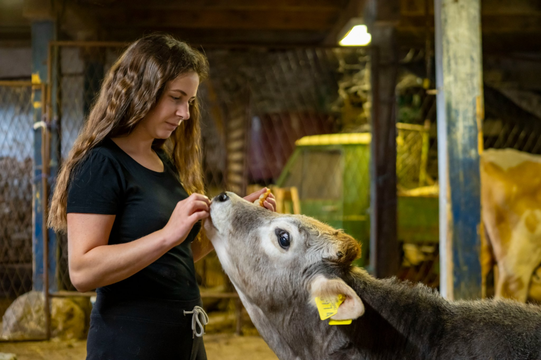Na jesenskom roku upišite Veleučilište 'Marko Marulić' u Kninu!