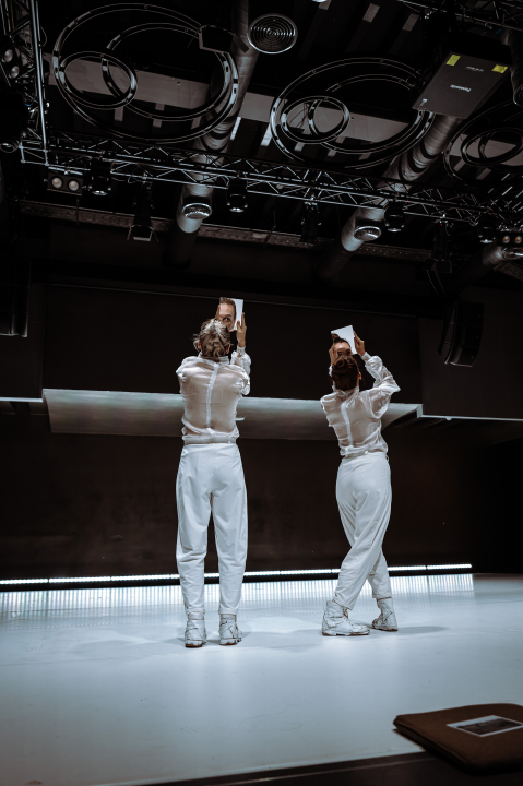 Strahovi malih razlika u Arsenu: Pitanja individualnog i kolektivnog, svjesnih i nesvjesnih obilježja sredine