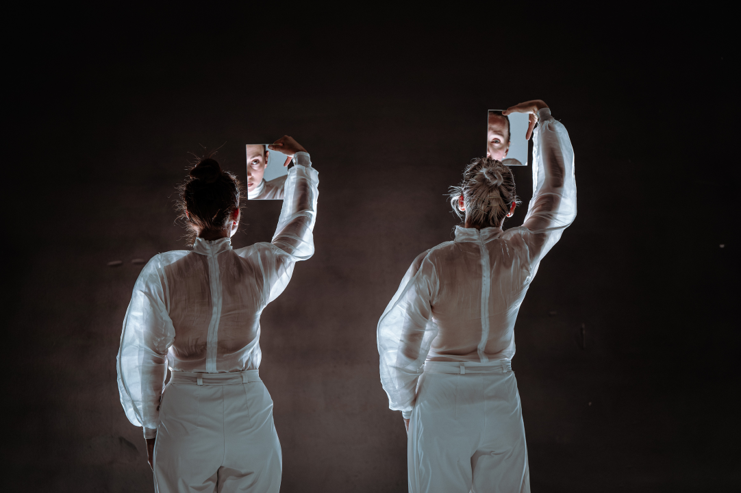 Strahovi malih razlika u Arsenu: Pitanja individualnog i kolektivnog, svjesnih i nesvjesnih obilježja sredine