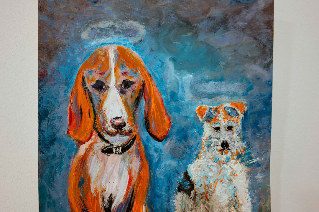 ‘Pustolovine iz dječjeg grada’: Dolores Bujas slikama i pjesmama nudi tračak nade i veselja