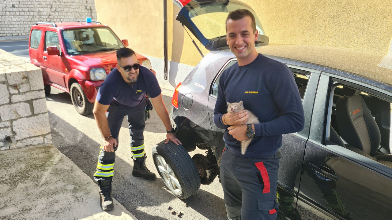 Šibenski vatrogasci brzi i efikasni: Spasili malu macu koja se zaglavila u kolu automobila 