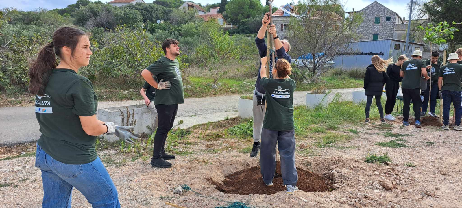 Masline su obrane, površine su zazelenjene, a Murter je čišći 