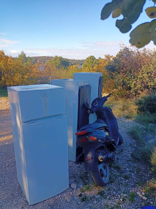 Tri pokvarena frižidera ponosno stoje u šumi između mosta i TEF-a: 'Nadamo se da će građani više prestati s tim'