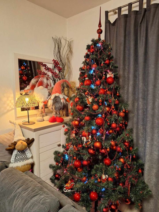 Provjerite tko su pobjednici izbora za naj jelku!