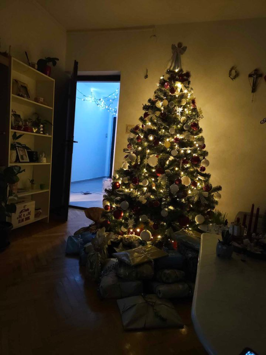 Provjerite tko su pobjednici izbora za naj jelku!