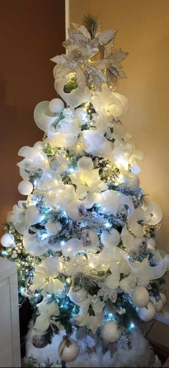 Provjerite tko su pobjednici izbora za naj jelku!