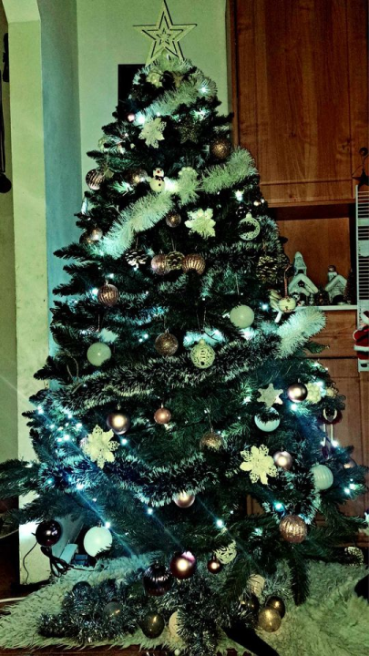 Provjerite tko su pobjednici izbora za naj jelku!