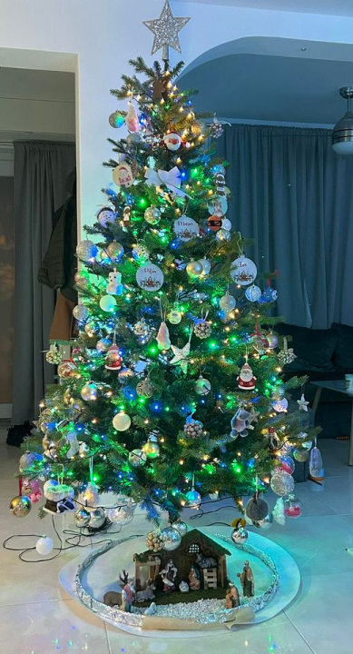 Provjerite tko su pobjednici izbora za naj jelku!