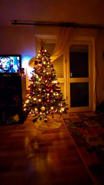 Provjerite tko su pobjednici izbora za naj jelku!