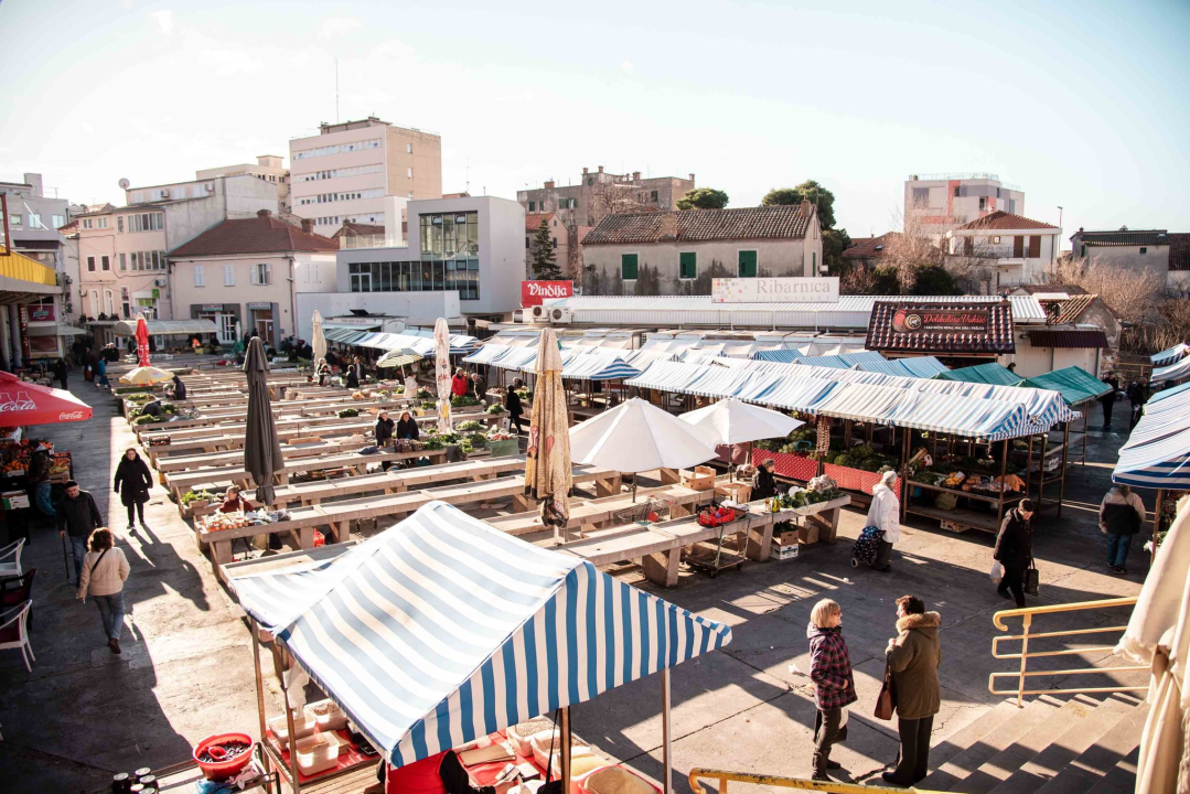 Šibenska peškarija danas nudi hamu, ribu na rubu istrebljenja u Jadranu