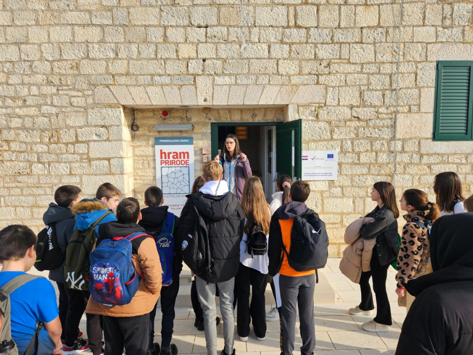 U Poliklinici Gemini bez čekanja obavite ultrazvuk abdomena te preglede interniste, gastroenterologa i kardiologa! 