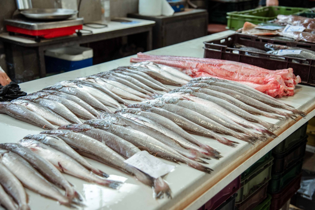 Kakav dan, takva i ponuda: Južina i lovostaj nude depresiju na peškariji i pijaci