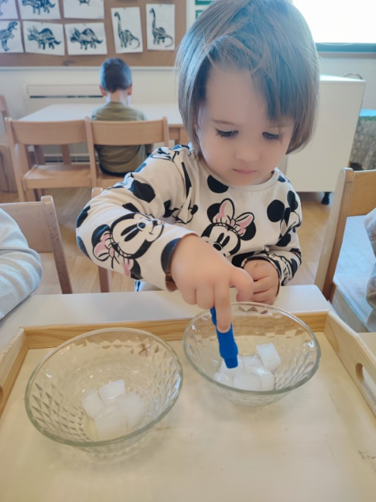 U DV Tamaris obilježili Svjetski dan voda