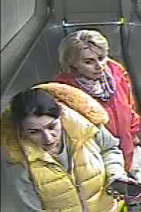 Bečka policija vjeruje da je na snimci nestala Danka 