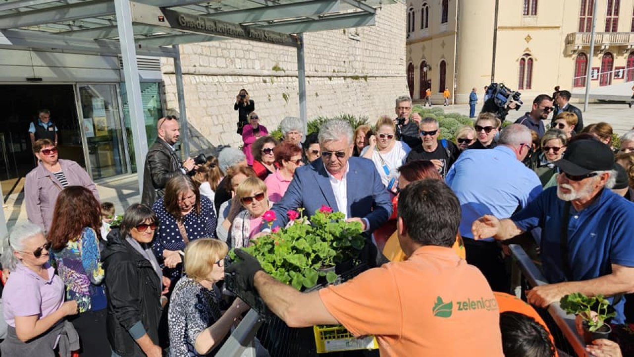 Gužva na Poljani: Šibenčani cvijeće najviše vole kad je besplatno