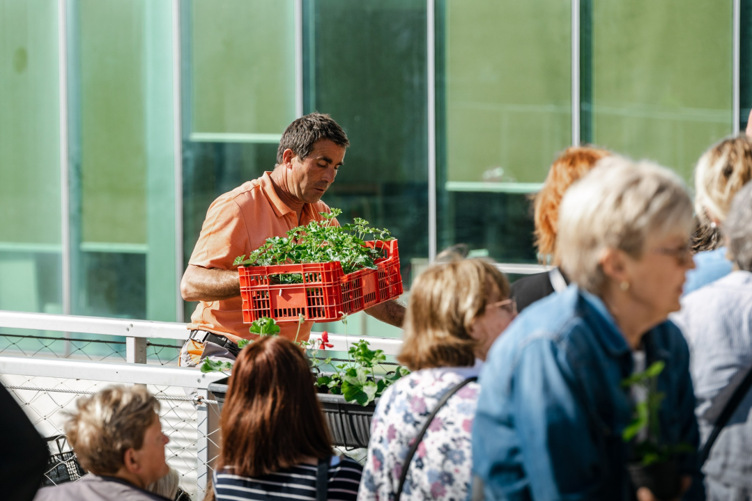 Gužva na Poljani: Šibenčani cvijeće najviše vole kad je besplatno