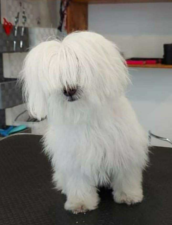 Omiljeni bistro Kod Starog odlično je odredište i u ljetnim danima!