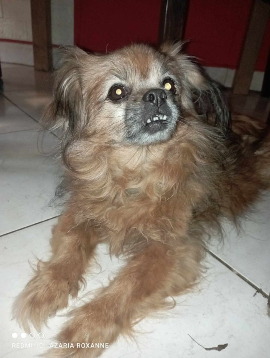 Omiljeni bistro Kod Starog odlično je odredište i u ljetnim danima!