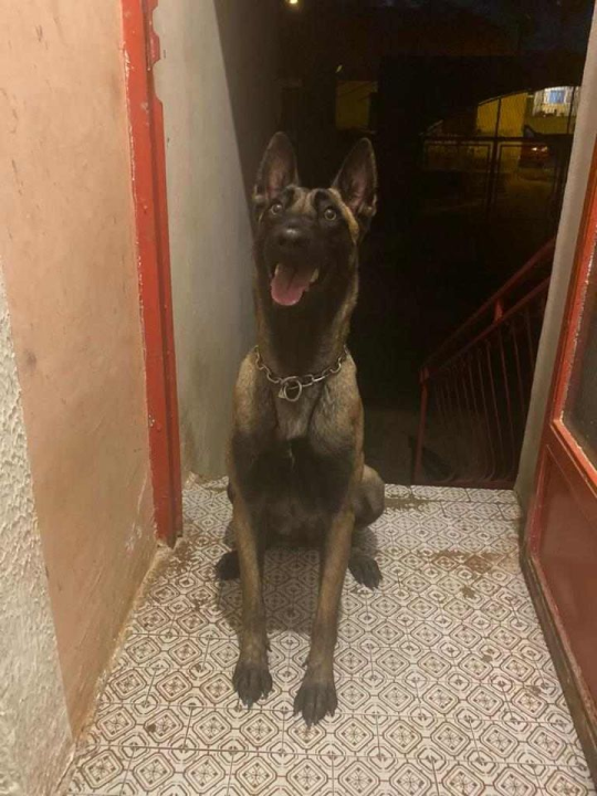 Provjerite tko su naj ljubimci 2024. godine!