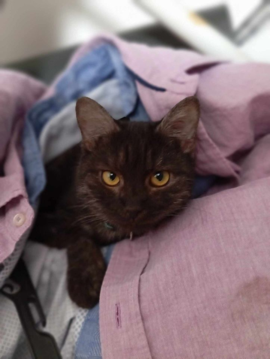 Provjerite tko su naj ljubimci 2024. godine!