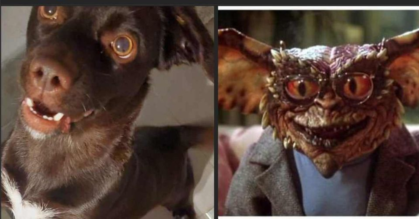 Omiljeni bistro Kod Starog odlično je odredište i u ljetnim danima!