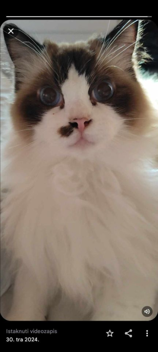 Provjerite tko su naj ljubimci 2024. godine!