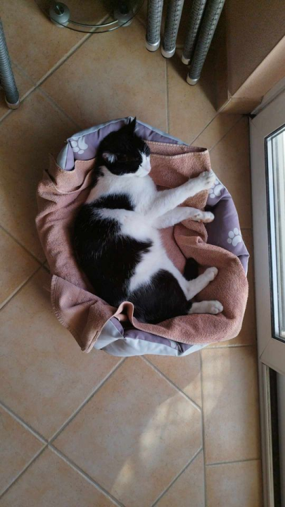 Provjerite tko su naj ljubimci 2024. godine!