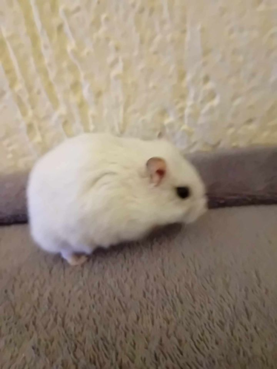 Omiljeni bistro Kod Starog odlično je odredište i u ljetnim danima!